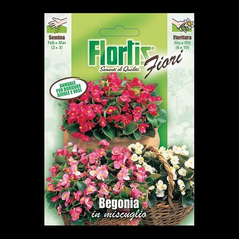 FLORTIS Begonia mix (1/2)