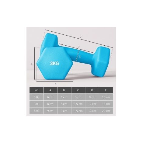 Haltères avec support de rangement, set de 6 pièces, 1 kg, 3 kg et 5 kg HAVRYA (1/4)