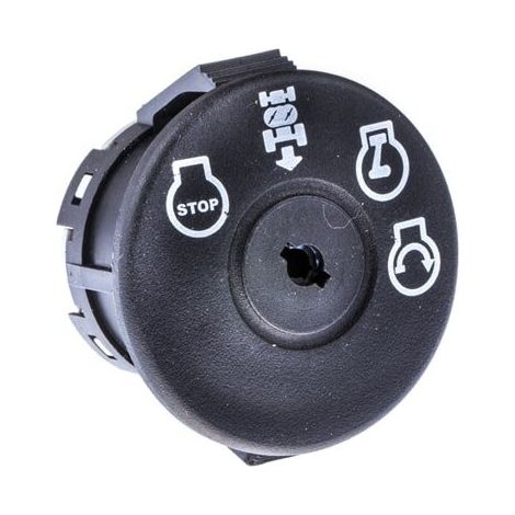 Interruptor llave AYP - ROPER 193350
