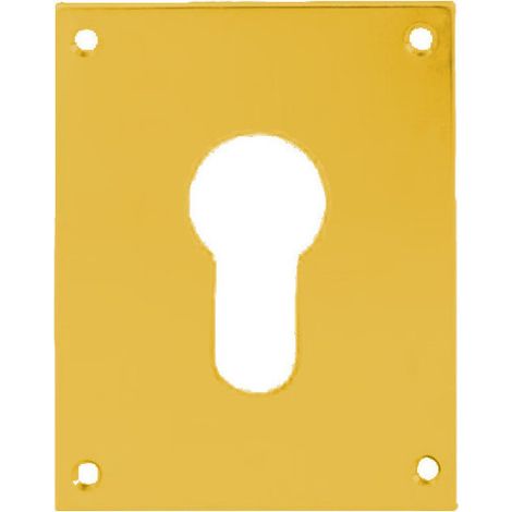 Plaque de propreté laiton poli clé I 90x90mm - HERACLES - 251652-CLEI