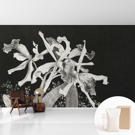 Papier peint intissé classique moderne pour salon et chambre à coucher Décoration rapide avec colle Illustration d'orchidée 416x254 cm (1/5)