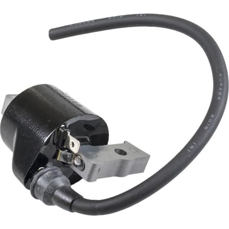 Rasenmäherzubehör Zündspule F525 F710 LX186 AM 109258 21121-2069 (1/2)