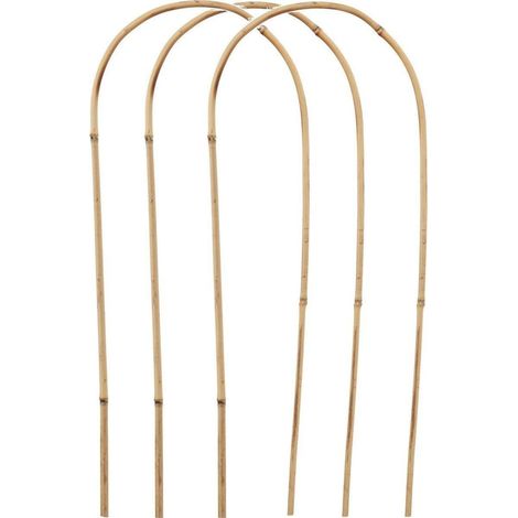 Progarden Support de Plantes en Bambou Design Courbé (1/2)