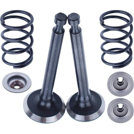 Joint de tige de soupape d'admission et d'échappement à régler pour Honda GX25 HHT25S Motobineuse, coupe-brosse, débroussailleuse 4711-Z0H-000 14721-Z3E-000 (1/5)
