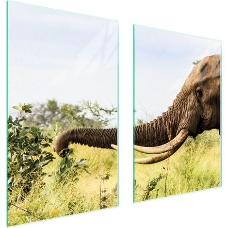 Assiette de protection en verre pour la cuisine 65x52 éléphant (1/5)