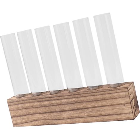 Support de Bouture en Verre avec Support en Bois, Tube à Plantes pour Terrarium de Bureau, Décoration Maison, Lot de 6 Tubes (1/5)