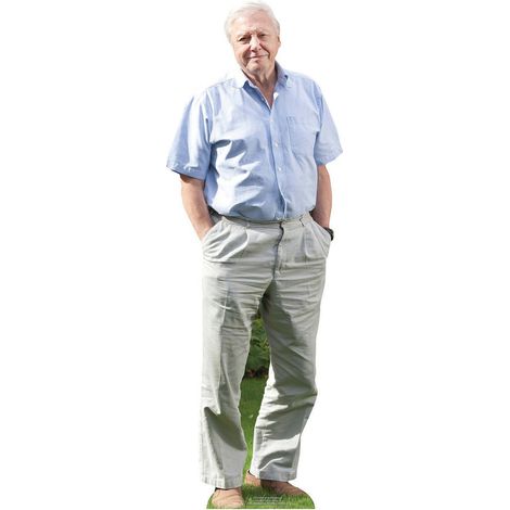 Mini Figurine en carton David Attenborough 90cm (1/5)