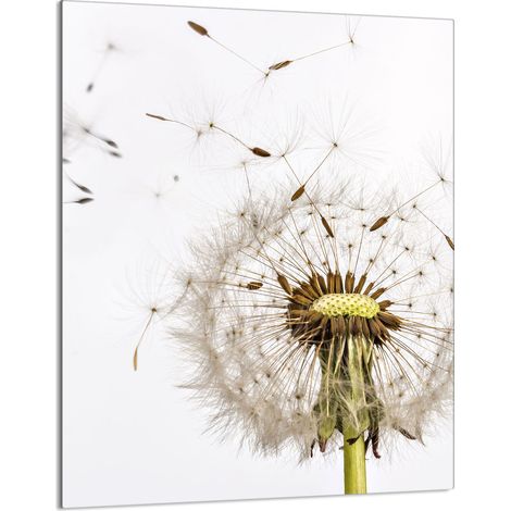Glasschneidebrett 40x52 Blume