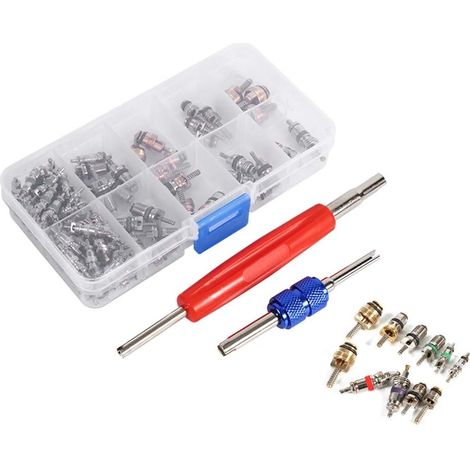 Kit de núcleos de válvulas de aire acondicionado para automóvil, 102 piezas, kit de herramientas para núcleos de válvulas de aire acondicionado de refrigeración para automóvil R134A/R12