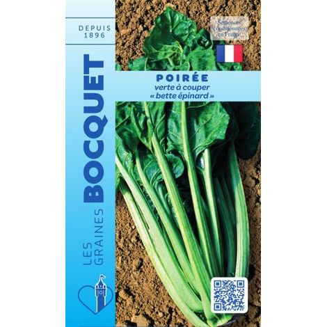 Poirée verte à couper - 6g