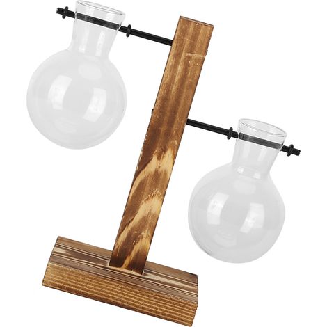 Vase jardinière innovant avec support en bois, vase hydroponique en verre transparent, décoration de bureau - Type B (1/5)
