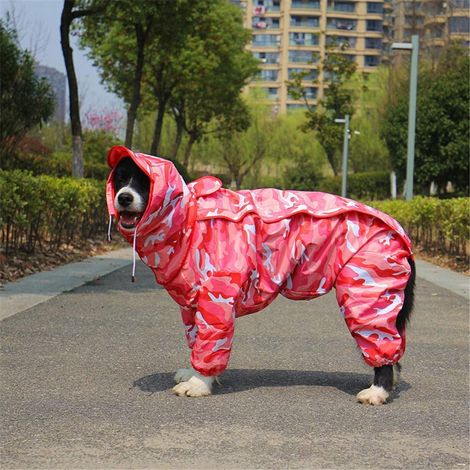 Imperméable chien avec capuche amovible, manteau extérieur réglable à cordon, veste de pluie imperméable pour chien, veste avec capuche et trou de collier, 10 tailles, 12 (1/5)
