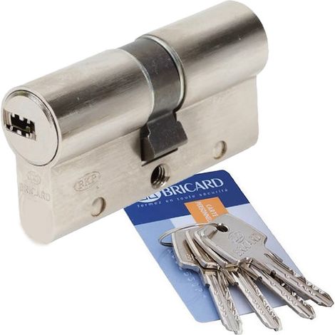 BRICARD Cylindre de serrure BRICARD astral debrayable L.30 + 30 mm 5 cles (1/2)