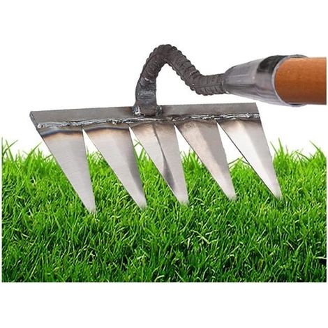 Râteau de Jardin - Outils de Jardinage à Main - 5 Dents de Râteau en Métal pour Scarifier et Désherber (1/4)