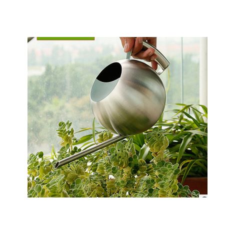 Arrosoir en acier inoxydable 1000 ml à long col rond pour plantes de jardin.