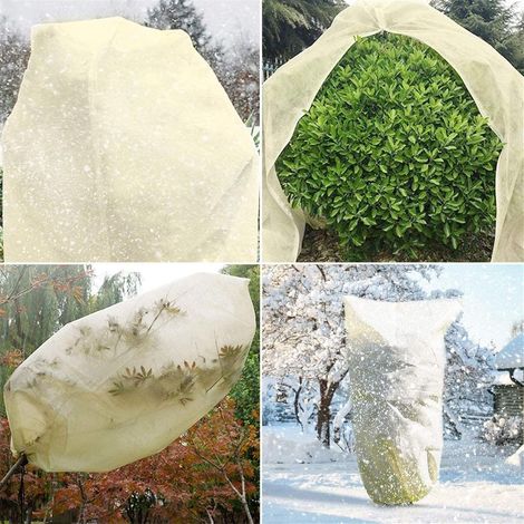 Housse d'hiver pour plantes 240 x 200 cm, non tissée, protection contre le gel pour pots et rosiers. Idéale pour les pots et les rosiers. (1/3)