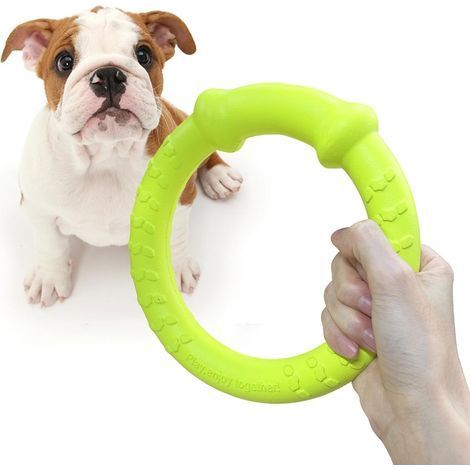 Jouet pour Chien Dog Disc, Disque de Lancer Durable pour Chiens forts pour Petits, Moyens et Grands Chiens, Sport, Exercice, Activité et Jeux de Plein air (Vert, Petit 18CM) (1/5)