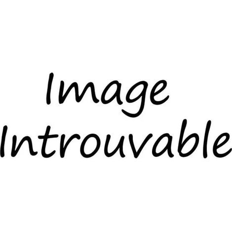 Reinigungsbürste campingaz 2000032608 3 in 1 Messingborsten