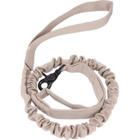 Laisse élastique en nylon pour chiot, durable et résistante à l'usure (1/4)