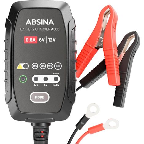 Blei-Gel-Lithium 7 Stufen Ladegerät A800 6V & 12V Akkus (1/5)