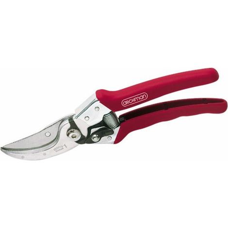 Sécateur professionnel d'élagage L 230 mm coupe Ø 24 mm (1/3)