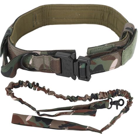 Ensemble collier et laisse pour chien : Collier en nylon souple, épais et réglable avec boucle en métal pour le dressage. (1/5)