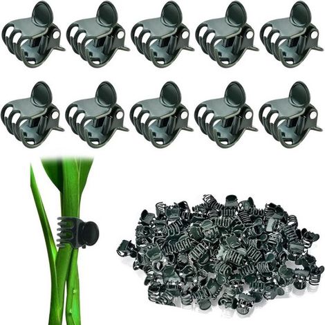 Lot de 100 clips pour plantes en plastique, supports pour orchidées, fleurs et plantes grimpantes, pour fixer les tiges et vrilles au jardin (1/5)