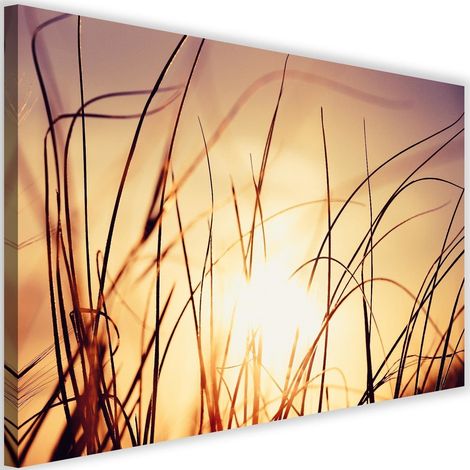Tableau sur toile Coucher de soleil Nature Herbe Plantes 60x40 (1/5)