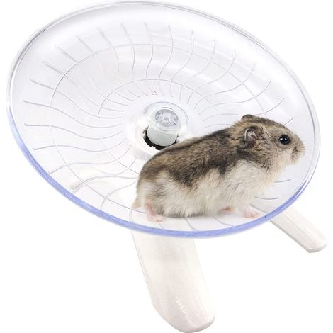 Toy for Small Animals Wheel, Wheel for Hamsters, Exercise Wheel for Hamsters, Silent Exercise Wheel for Hamster, Rodents, Running Wheel for Rodents and Small Animals (White) (1/5)
