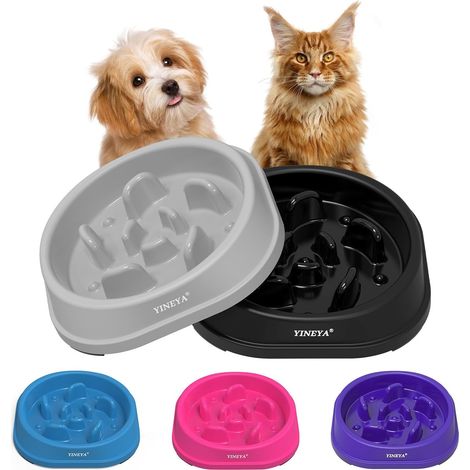 2 Units Anti Glutton Cat and Small Dog Bowl, 1 Cup Bowl (1/5)