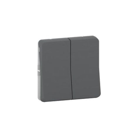 Interruptor seccionador MUREVA gris IP55 10 AX 250 V AC 2 vías 2 elementos basculantes