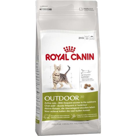 Royal Canin Outdoor Croquetas para Gato Activo 2 kg (1/4)