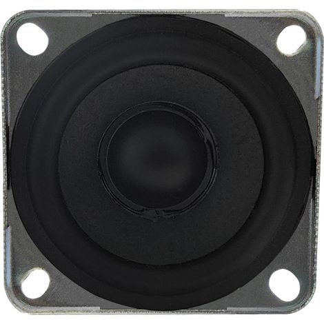 Haut-parleur RS PRO, 8O, 10W ( Prix pour 1 )