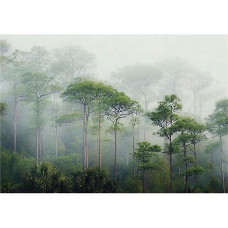 Papier peint mural forêt 3D arbres brume verte intissé grand format design intérieur salon chambre pas cher 300x210 cm (1/5)