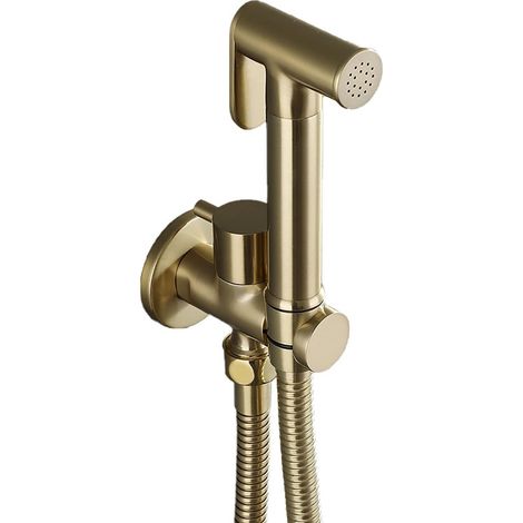 Esip – Pulvérisateur de bidet mural en laiton – Douchette WC or brossé – Tuyau 1,5 m pour hygiène personnelle et nettoyage efficace