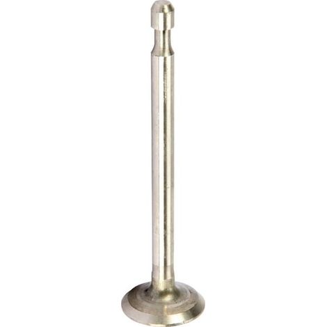 Soupape d'échappement BRIGGS ET STRATTON 590394 (1/2)