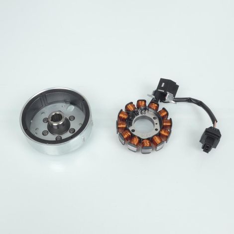 Stator rotor d allumage RMS pour Scooter Piaggio 50 ZIP 2006 à (1/4)