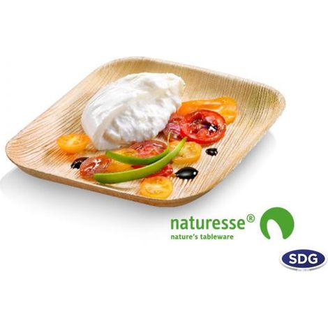 Assiette jetable plate carrée 24x24 cm en feuille de palmier - 100 pièces - Ecobioshopping