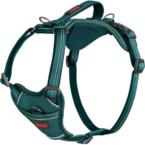 Arnés para Perro Company of Animals Turquesa L 42-65 cm (1/5)