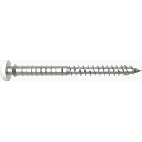 SFS-Intec-SAS SPTR V6 14 Schrauben weiß Stahl Carbon 6X60 mm