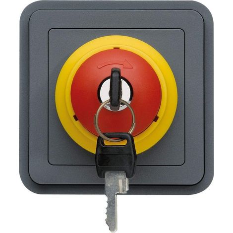 Dispositivo di comando Hager wna033 250V IP55