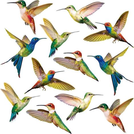 Autocollant de Fenêtre de Colibri Décalques de Vitre Anti-Collision pour Empêcher d\x92Impact d'Oiseau sur Fenêtre Autocollants Anti-Adhésifs en Vinyle Autocollants pour Colibris (18 Pièces) (1/5)