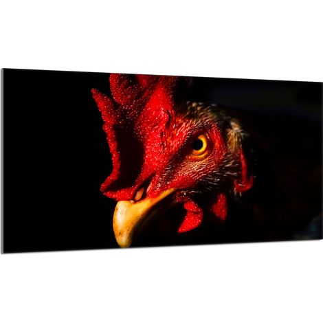 Placa protectora de vidrio para estufa 90x52 Gallo (1/5)