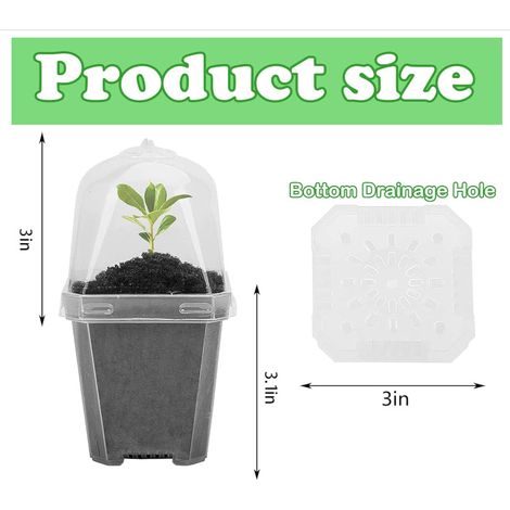 Pot pour succulentes et boîte de germination avec couvercle, bac à semis étanche pour fleurs, graines et balcon, Composition : 1 pièce, taille petite, dimensions : 10 cm10 cm6 cm, Couleur : transparen (1/5)
