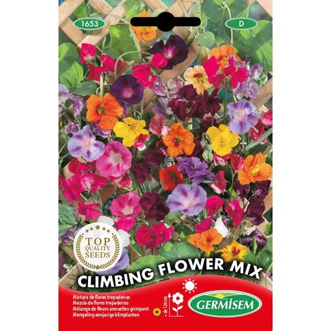 Graines Mélange de fleurs annuelles grimpant CLIMBING FLOWER MIX