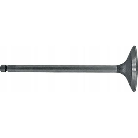 Valvola di aspirazione in granito John Deere 38012063 R98062