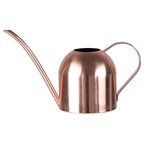 Arrosoir rétro,parrosoir en acier inoxydable, arrosoir en métal pour jardin intérieur -rouge (1/5)