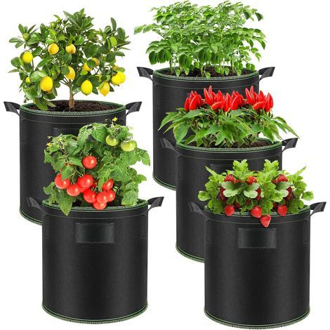 Set of 5 Grow Bags, 30L with Handles, Non-Woven Felt, for Outdoor Vegetables (1/5)