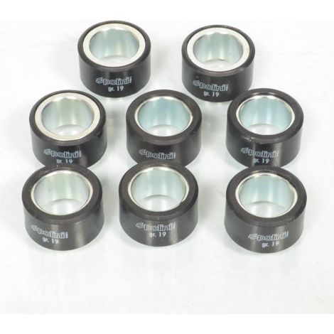 Variomatik-Rolle Polini für Roller Yamaha 500 Xp T-Max Abs 2001 (1/4)