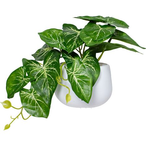 Mini plante artificielle Calla – Pot blanc 15 cm, style moderne pour décoration intérieure et extérieure (1/2)